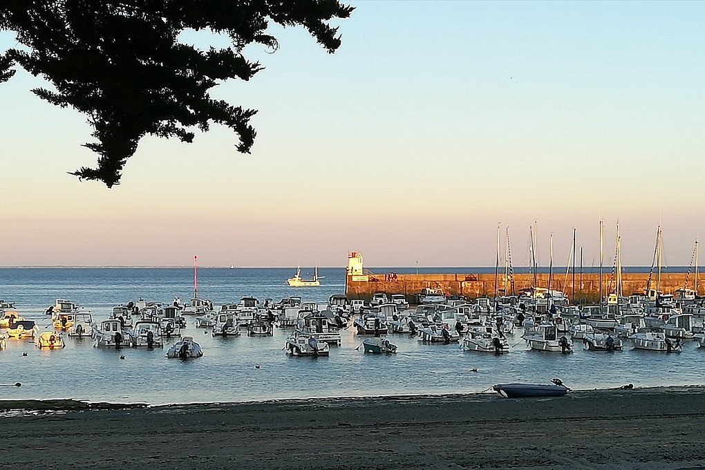 couché de soleil sur le port