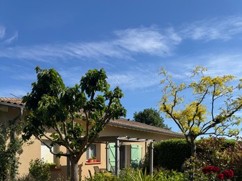 Photo n° 1 de la location