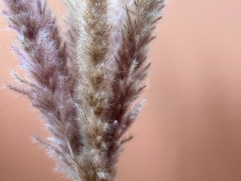 Photo n° 29 of the location