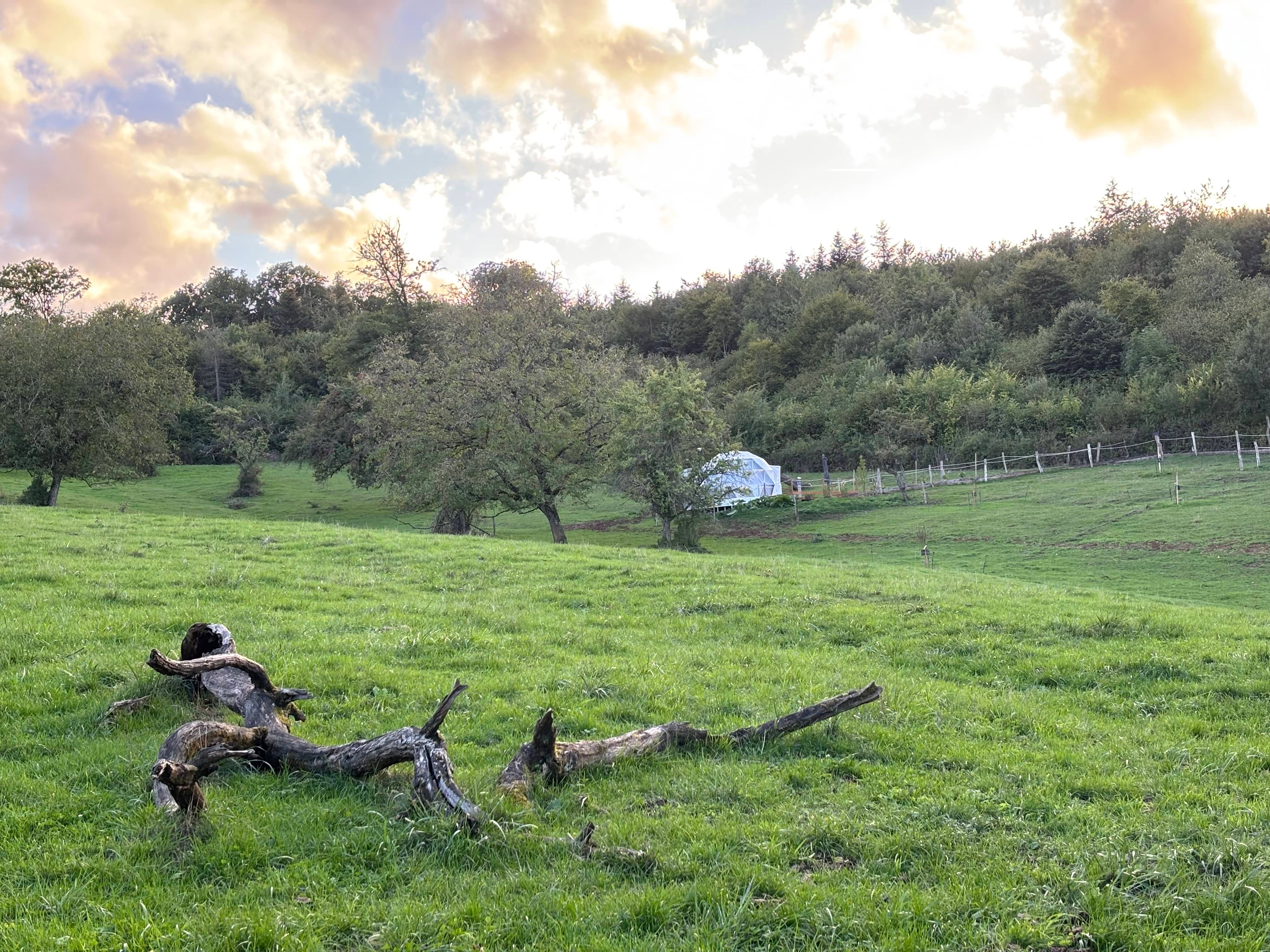 Photo n° 9 de la location