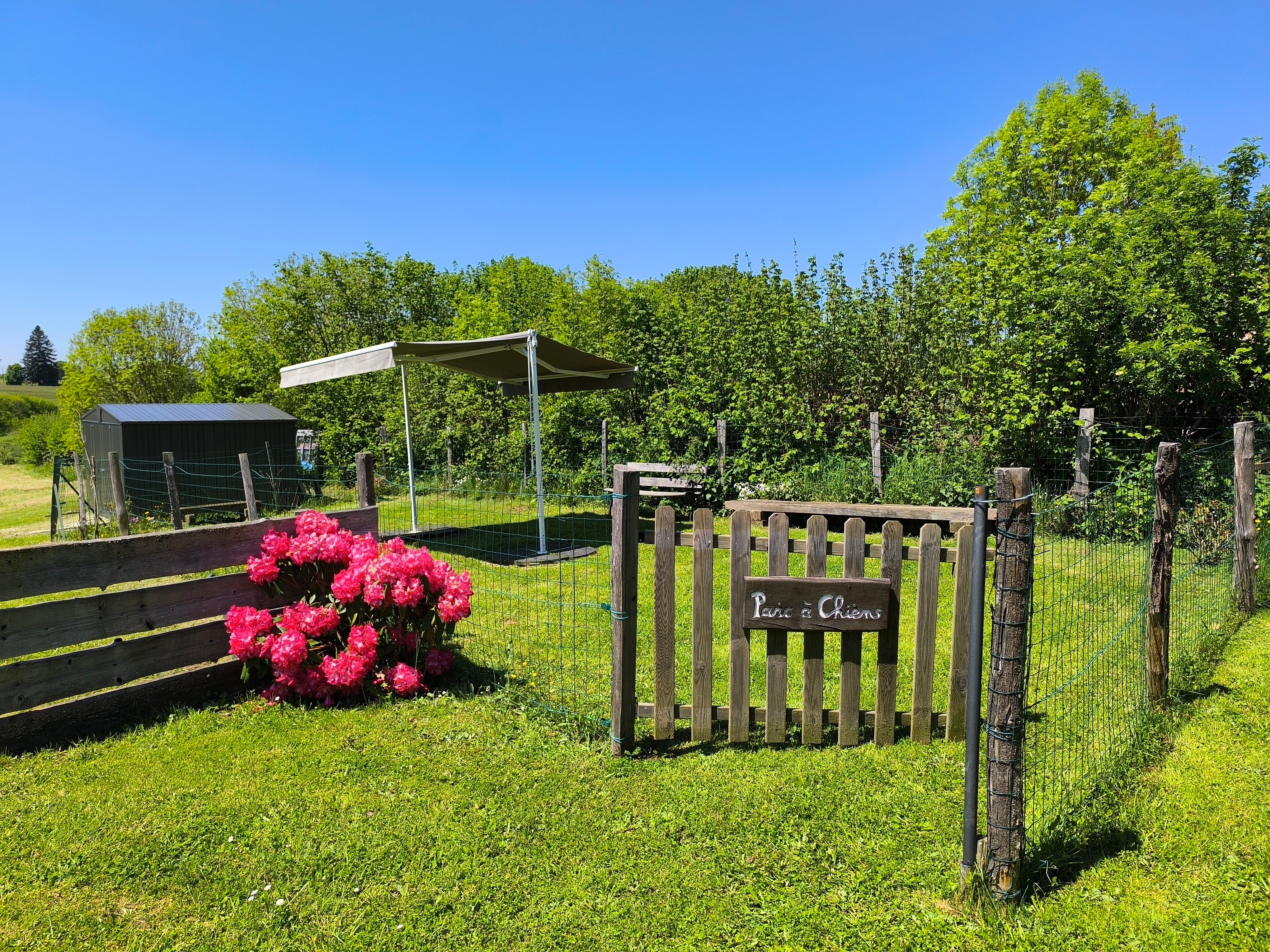 Parc à chien