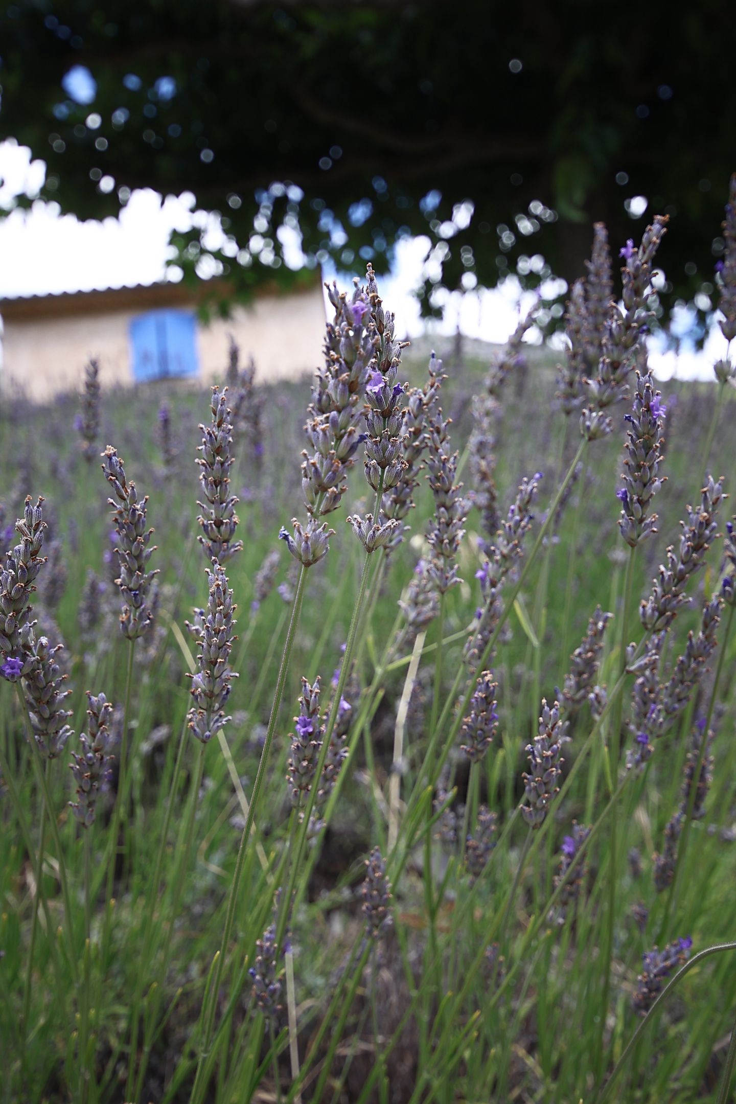 Photo n° 7 of the location