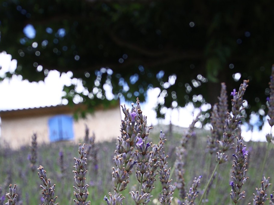 Photo n° 7 of the location