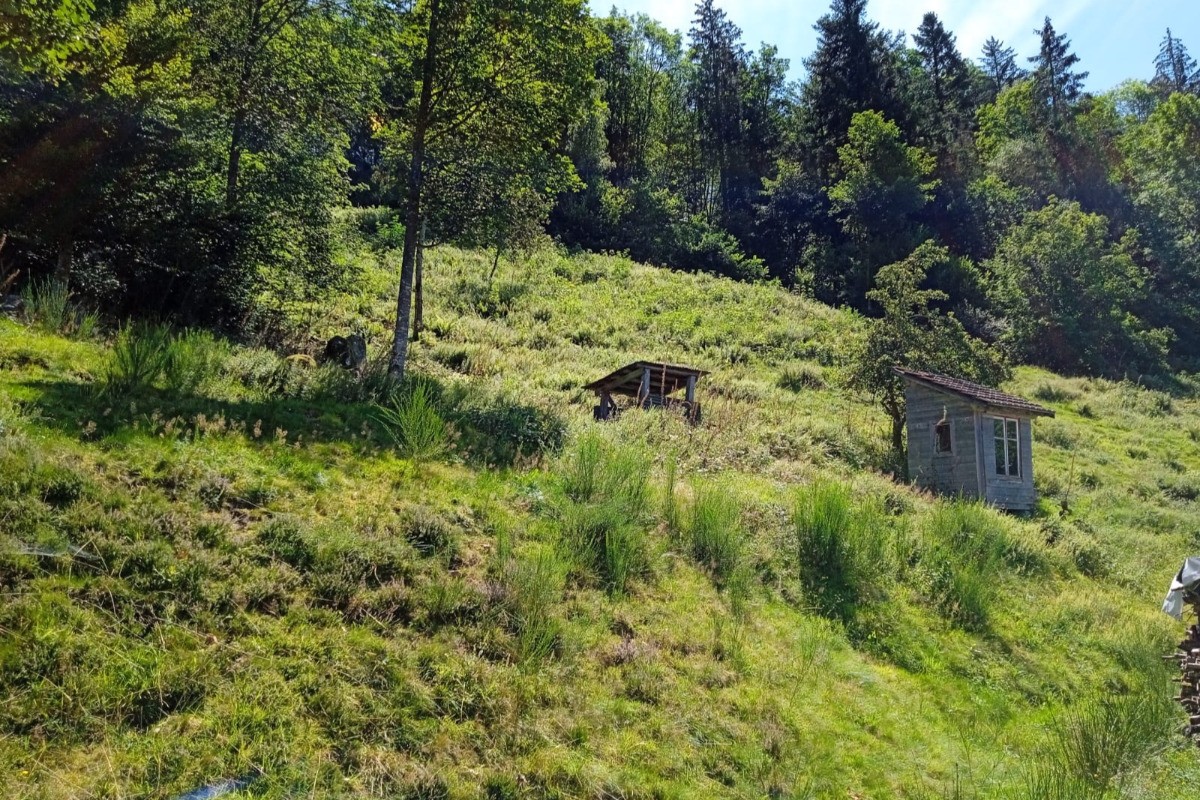 Surroundings - Ideal location in the heart of the Parc des Ballons des Vosges