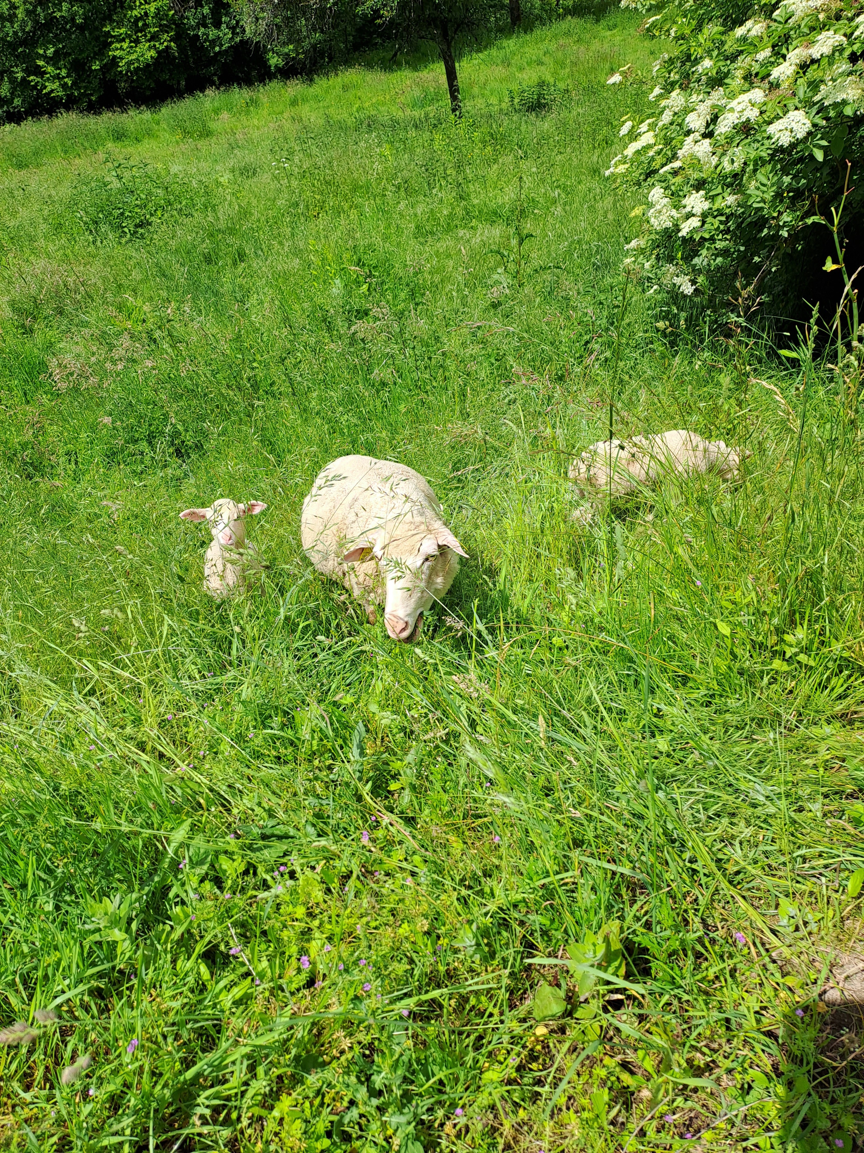 Photo n° 7 of the location