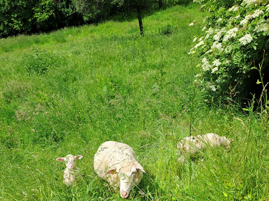 Photo n° 7 of the location