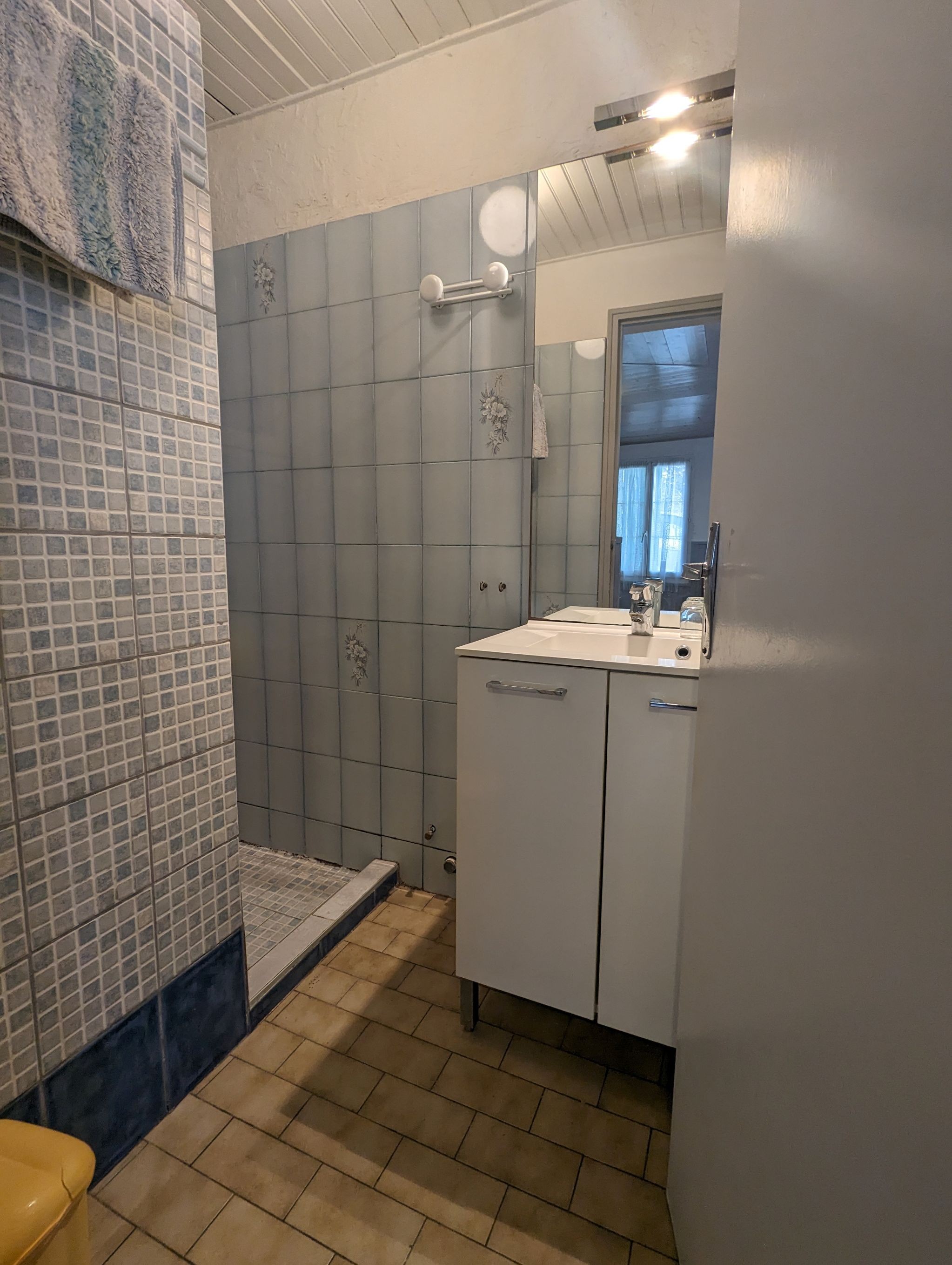 Shower room with separate WC