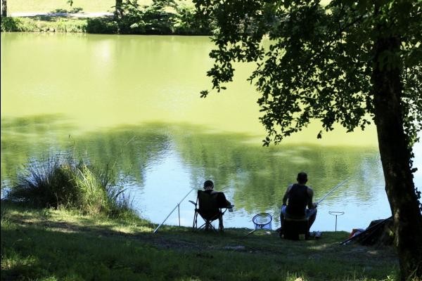 Photo n° 15 de la location