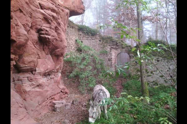 le chateau du wineck, l'un des châteaux forts à proximité