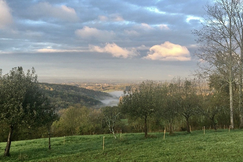 Paysage ouest au matin