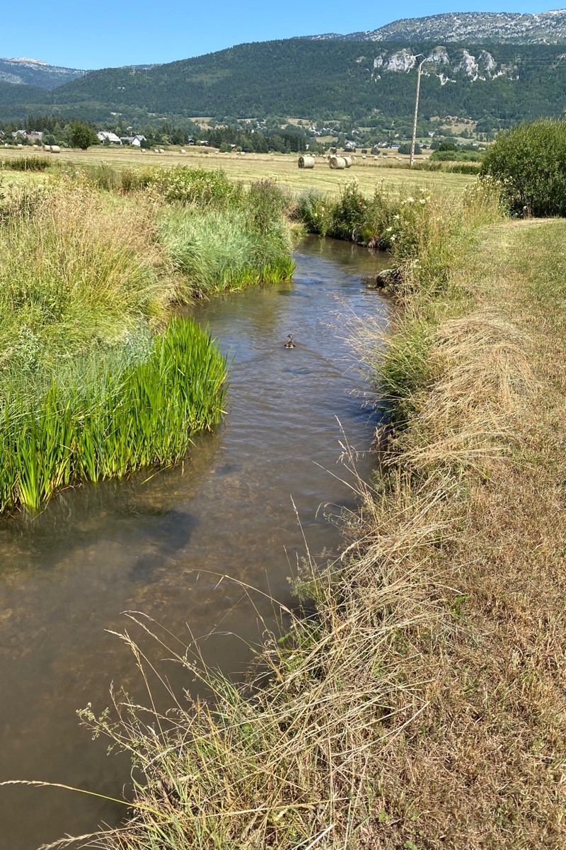 Ruisseau à proximité
