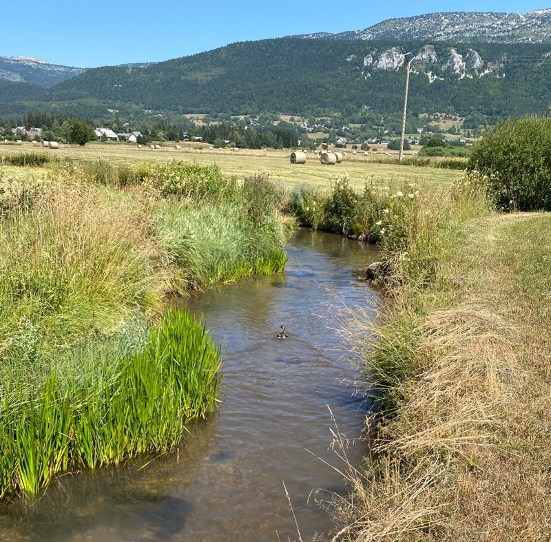 Ruisseau à proximité