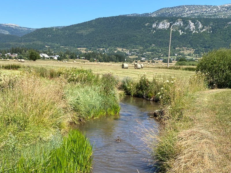 Nearby stream