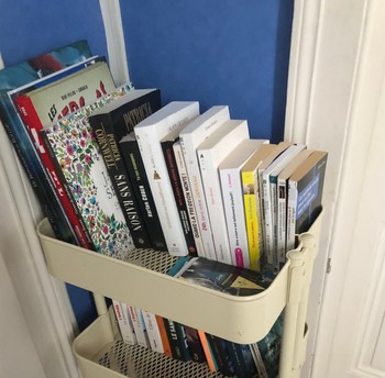 Quelques livres et DVD sont à votre disposition  sur le palier en partage avec la chambre voisine