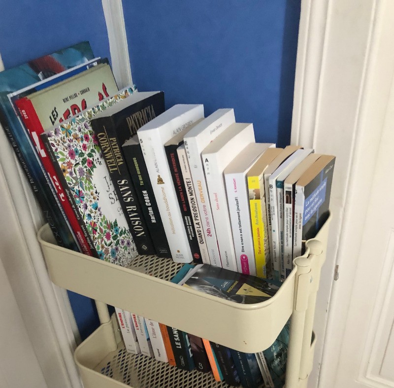 Quelques livres et DVD sont à votre disposition  sur le palier en partage avec la chambre voisine