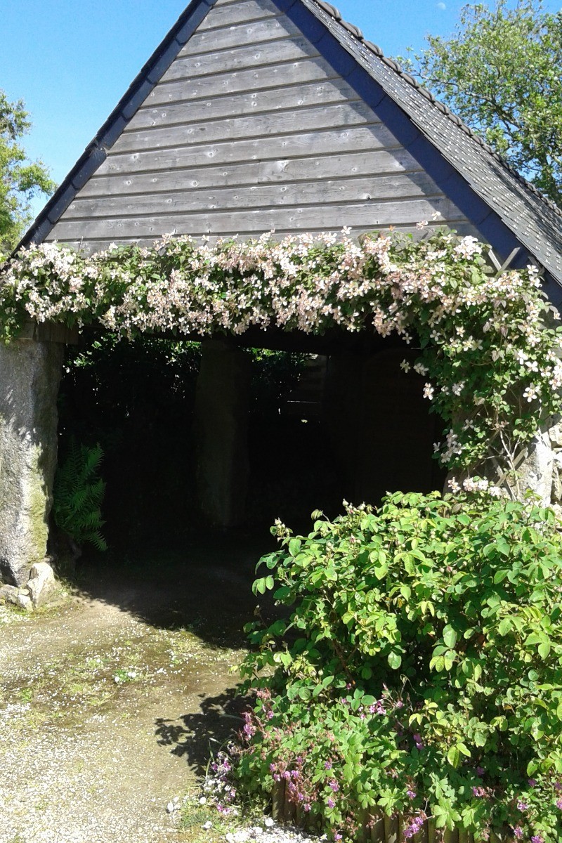 Le carport avec l'accès au local fermé