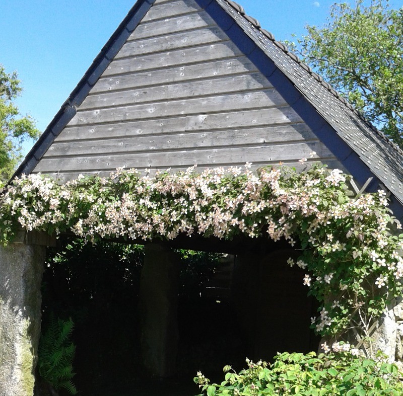 Le carport avec l'accès au local fermé