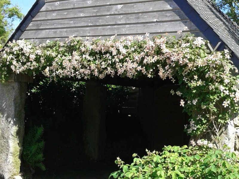 Le carport avec l'accès au local fermé