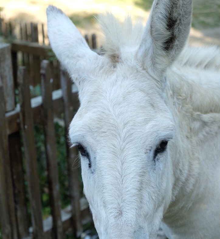 Photo n° 15 of the location