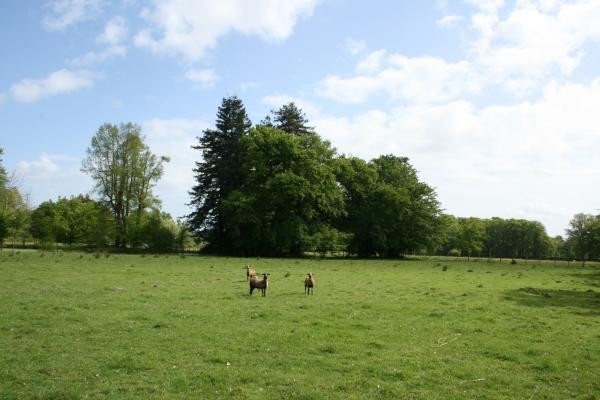 Rencontres lors d'une promenade sur le site