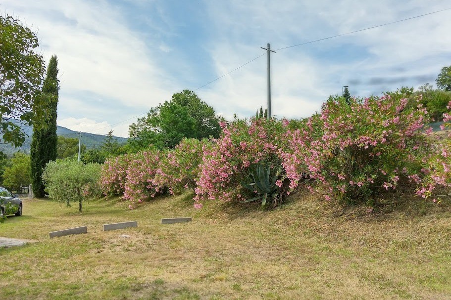 Photo n° 14 de la location