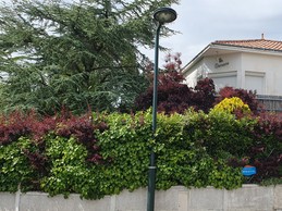 Image n° 2 de la location