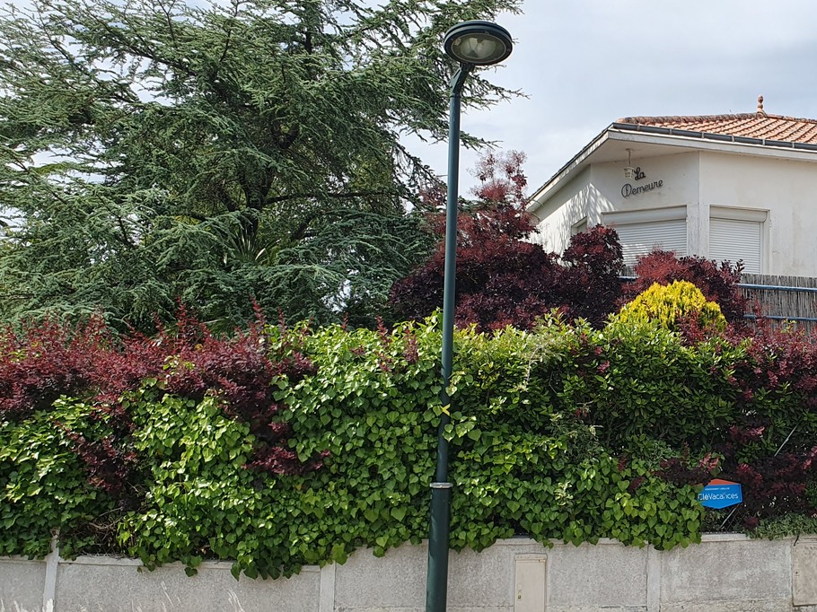 Photo n° 2 of the location