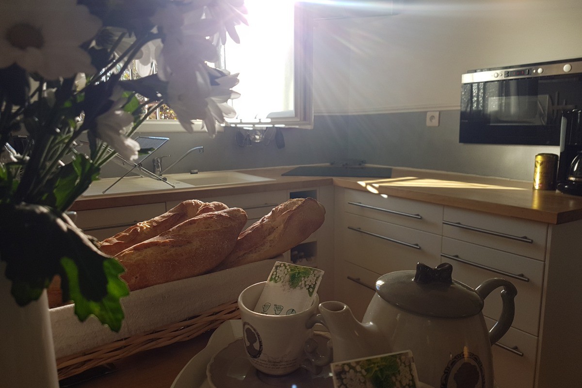 Photo n° 11 de la location
