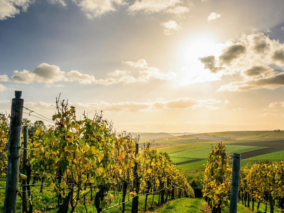 Photo n° 18 of the location