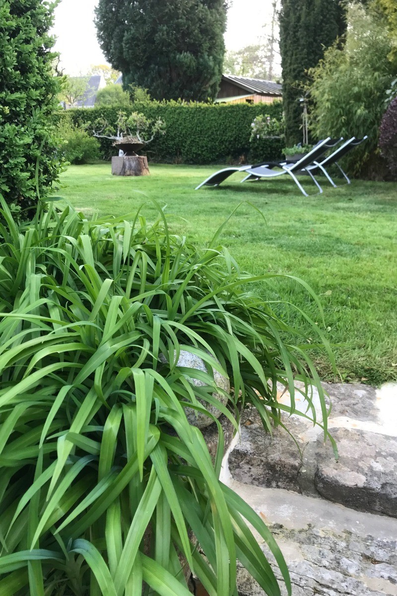 Gîte location de vacances la maison de laurence Mandeville en bessinPHOTO JARDIN