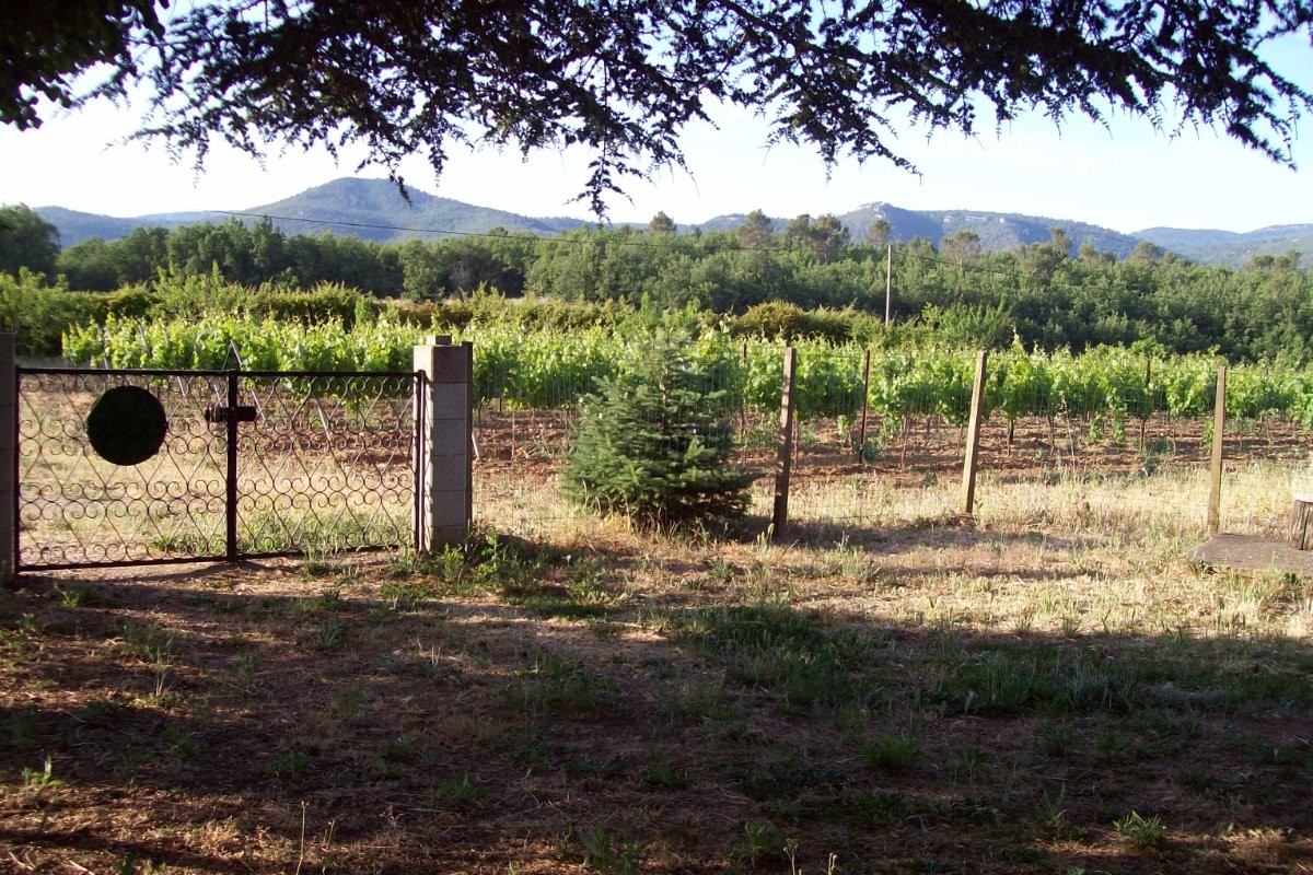 Au milieu des vignes, Gîte Campagne Chasteuil (Var, Provence)