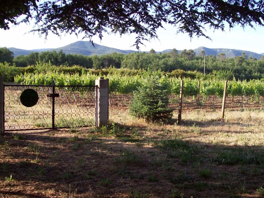 Au milieu des vignes, Gîte Campagne Chasteuil (Var, Provence)