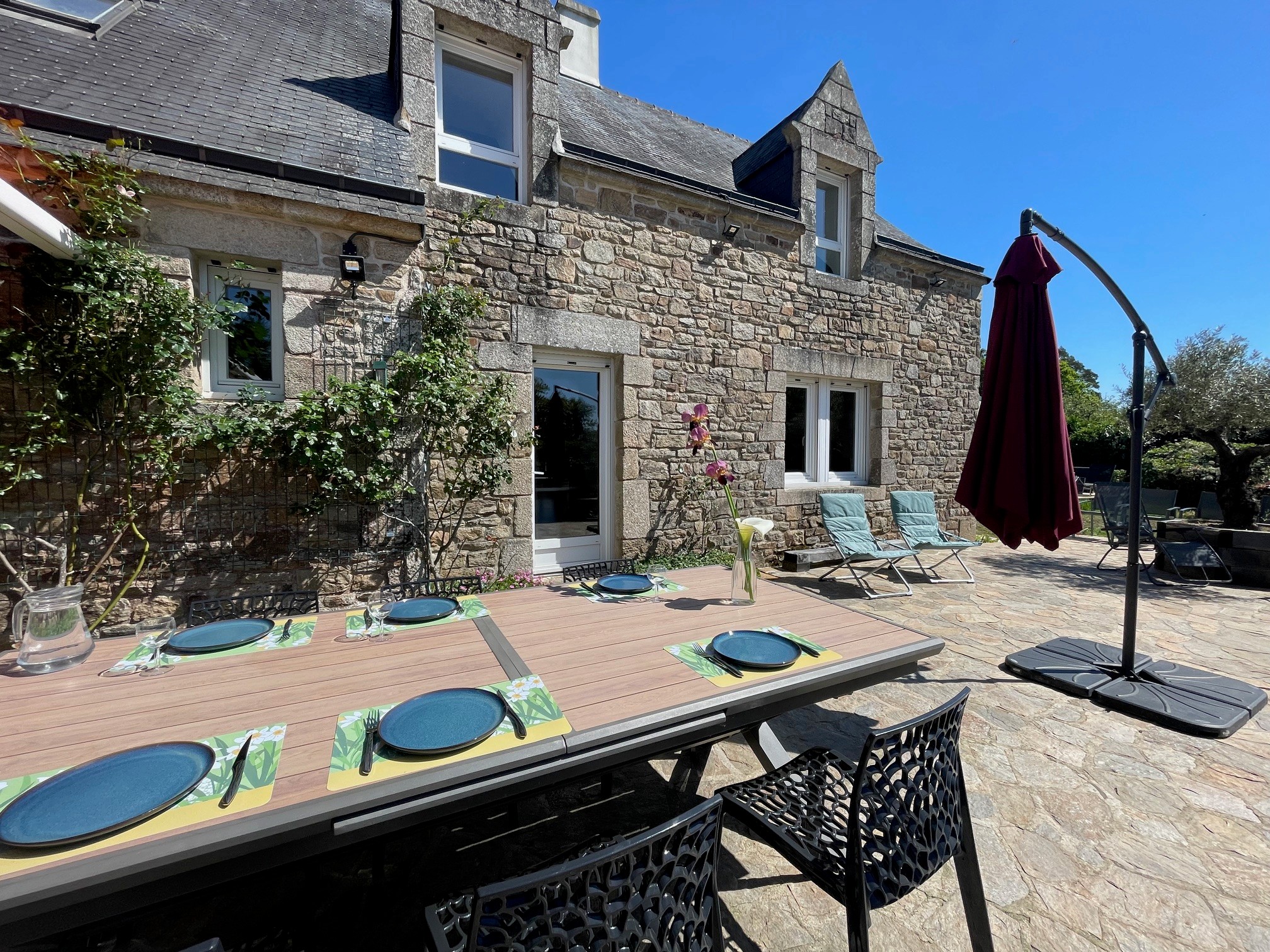 Repas extérieurs près du rosier