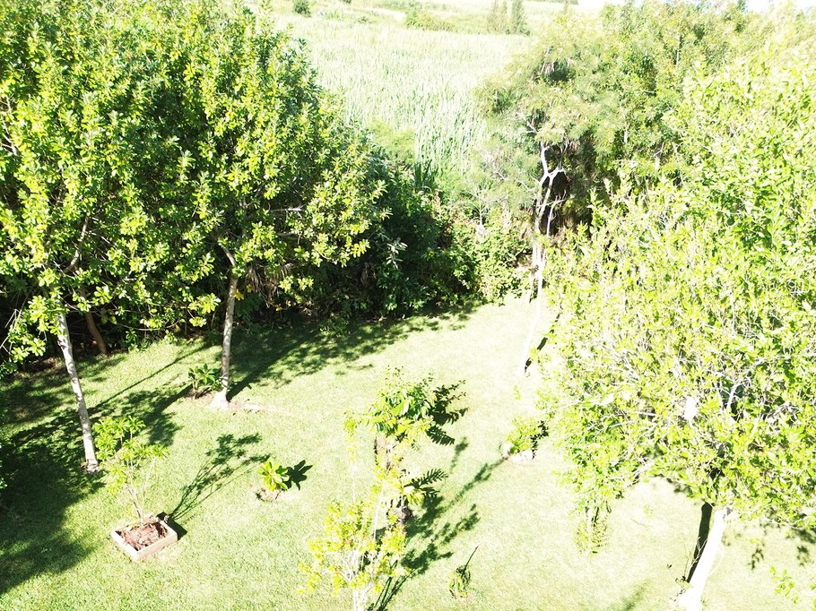 Photo n° 2 of the location