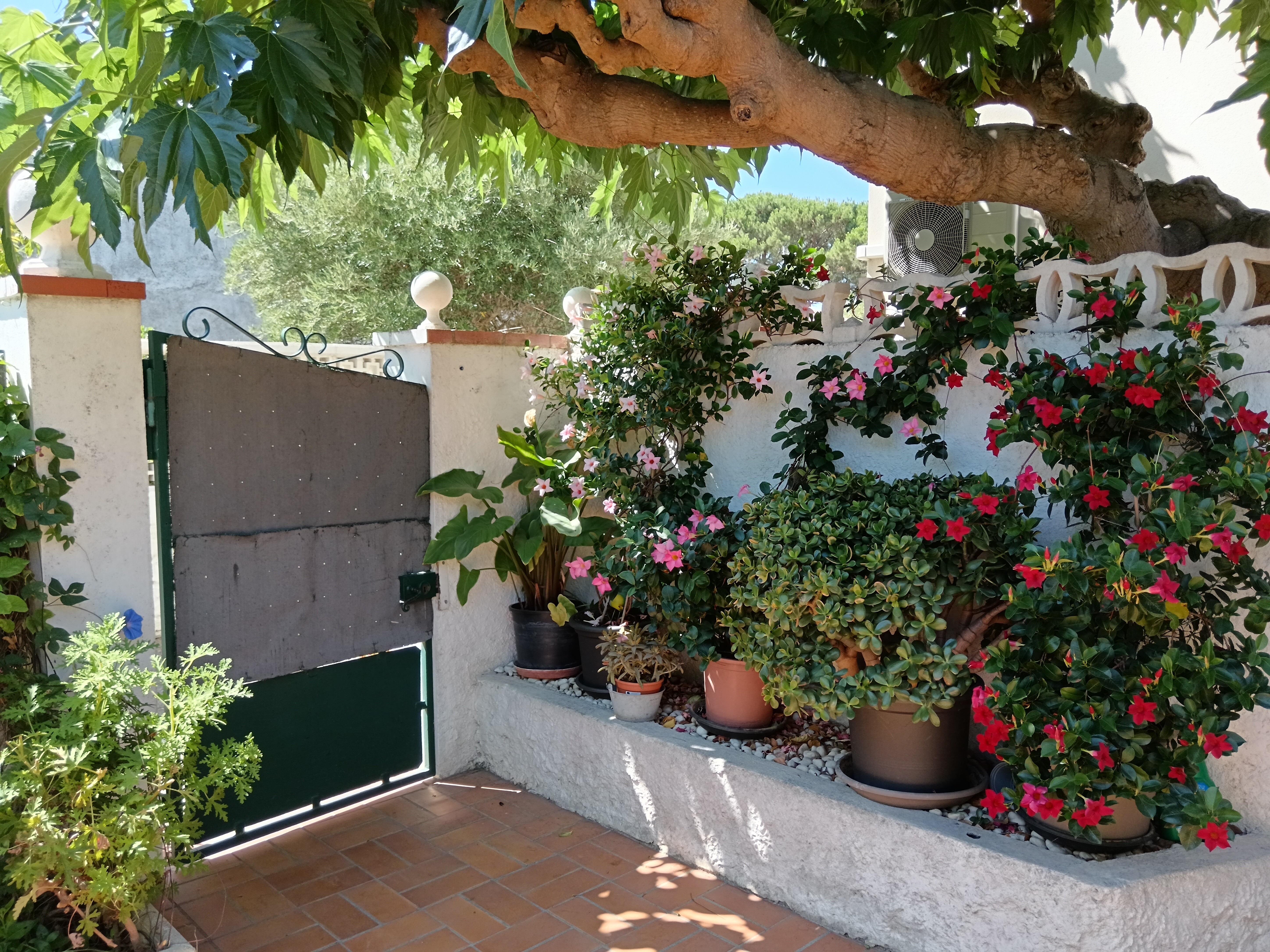 Photo n° 6 of the location