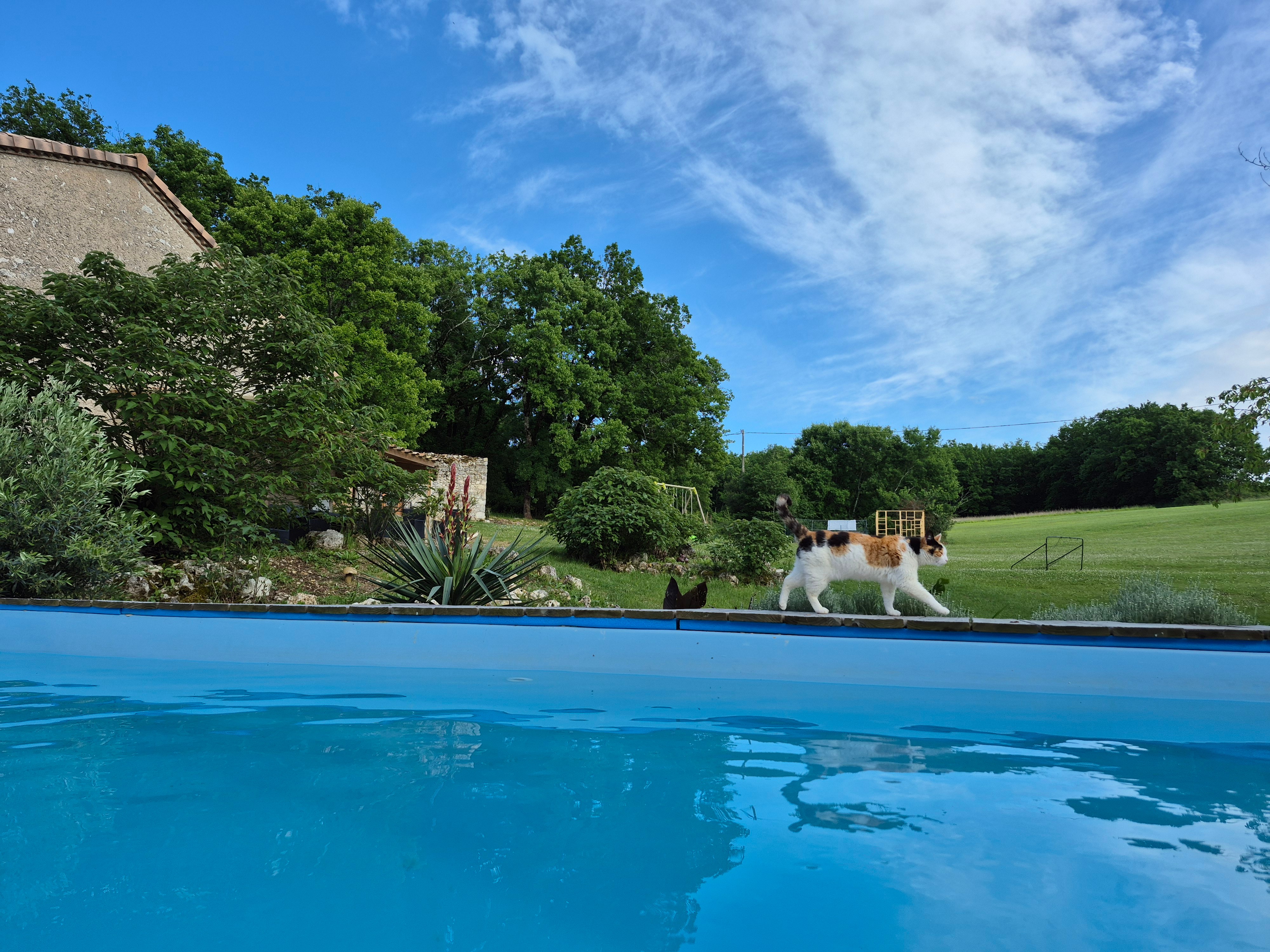 Gite de groupe 12 personnes avec pisicne - Lot-et-Garonne