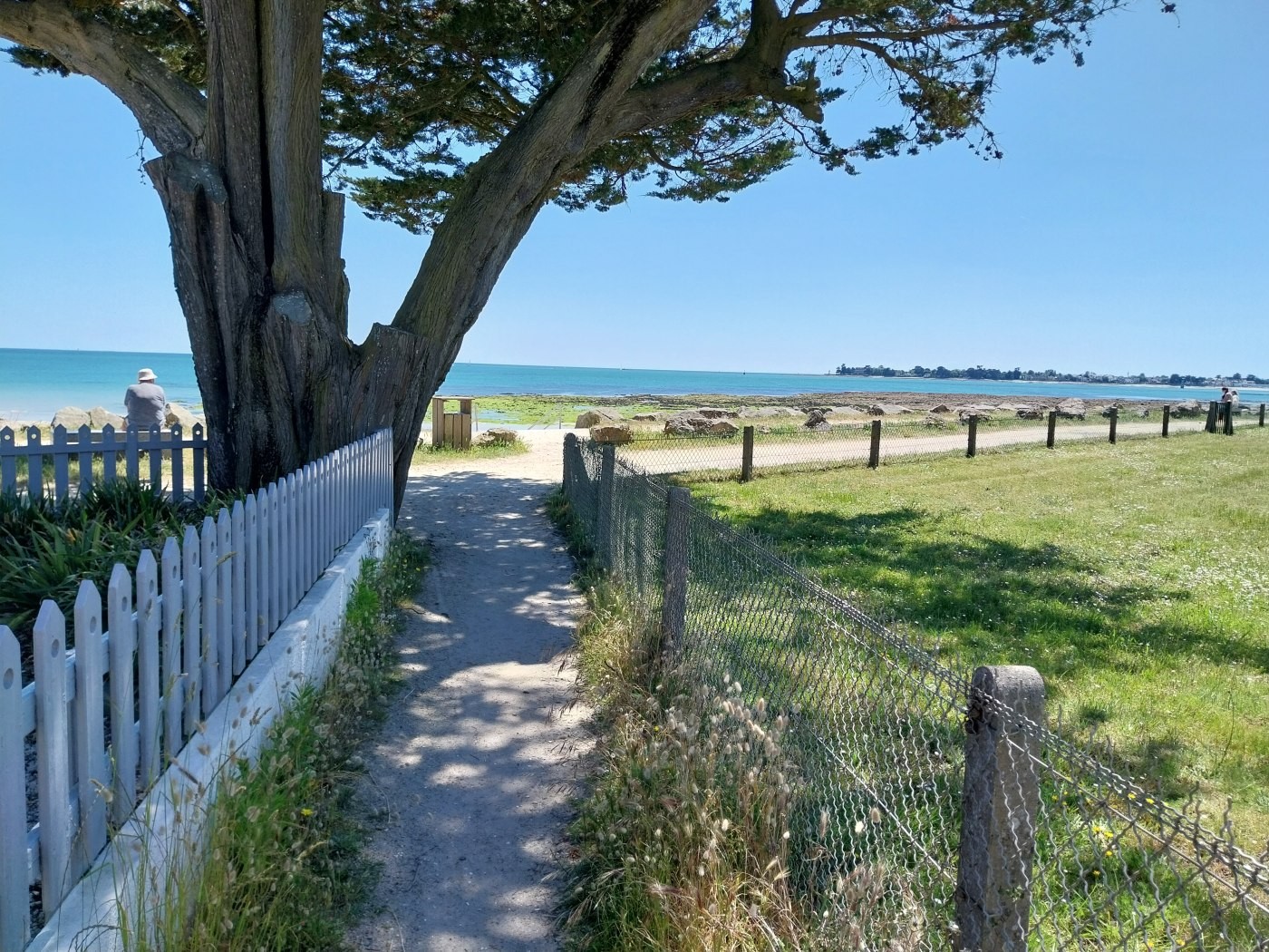 Plage et GR 34 à 30 m
