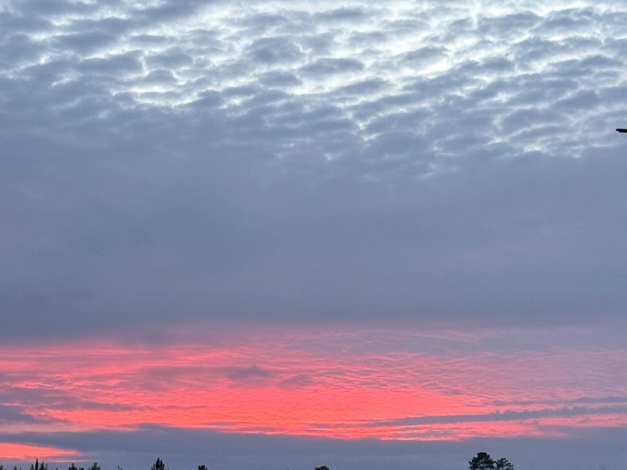 Gîte d'Hybère - Forêt