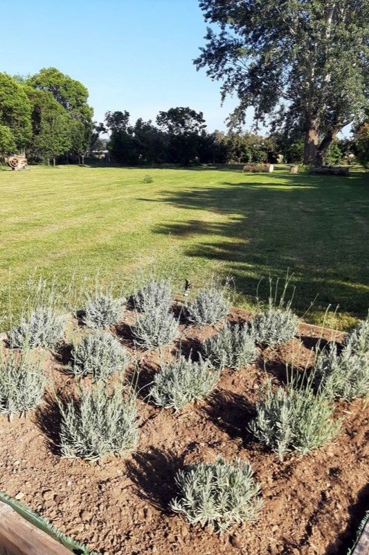 Jardin devant le gîte des "Romarins"