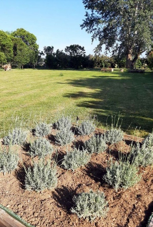 Jardin devant le gîte des "Romarins"