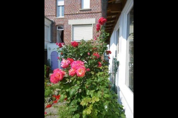 Photo n° 8 de la location