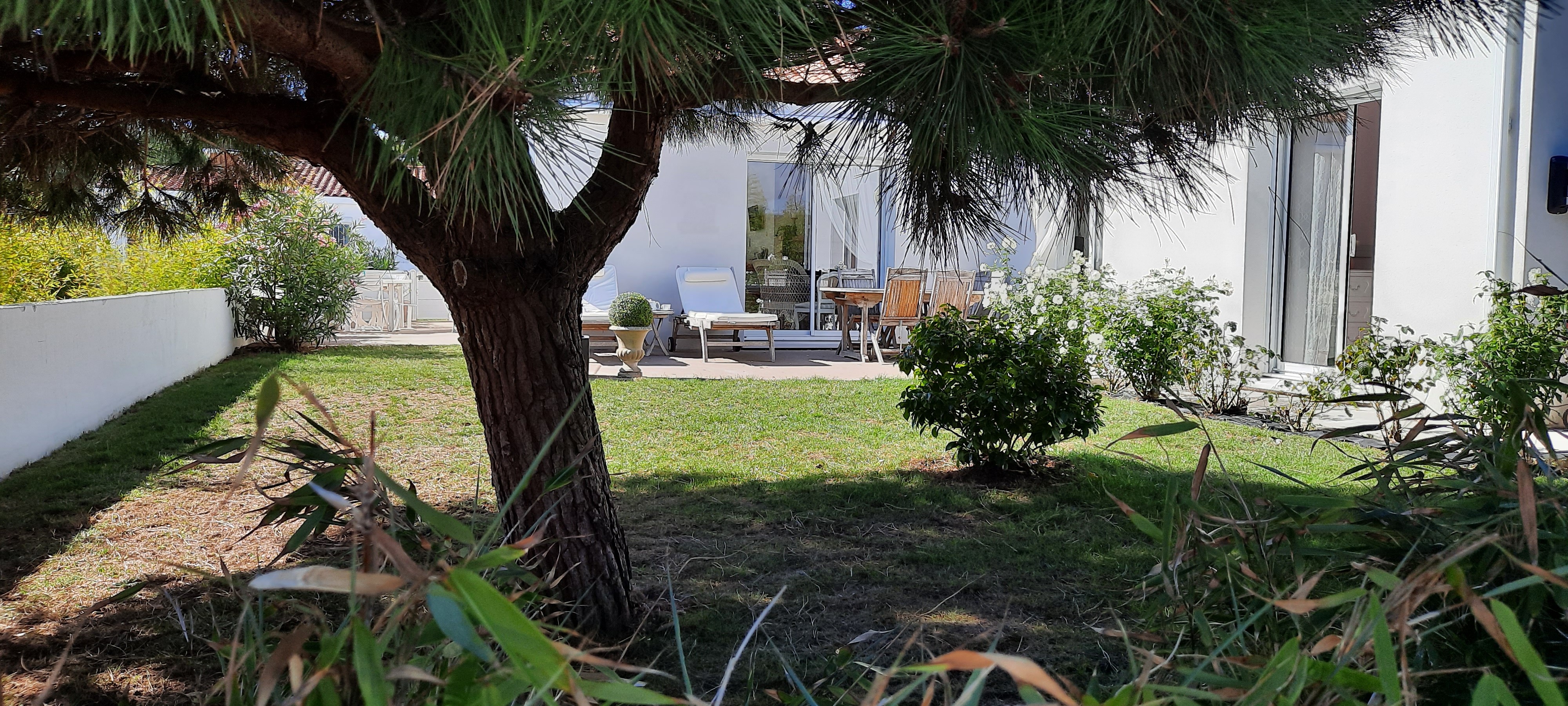 Photo n° 6 de la location