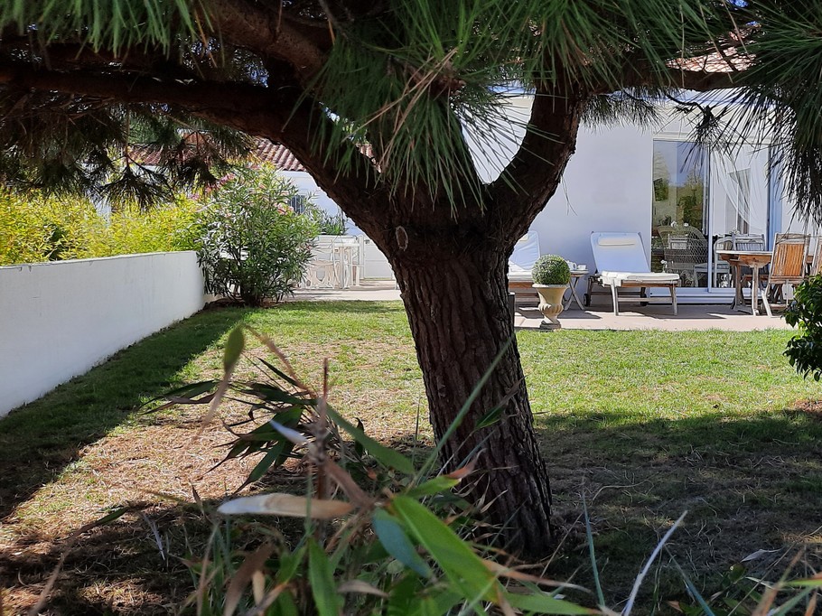 Photo n° 6 de la location