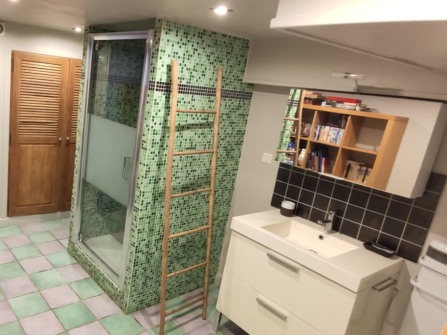 La salle d'eau / buanderie / biliothèque