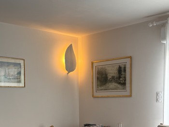 Le salon