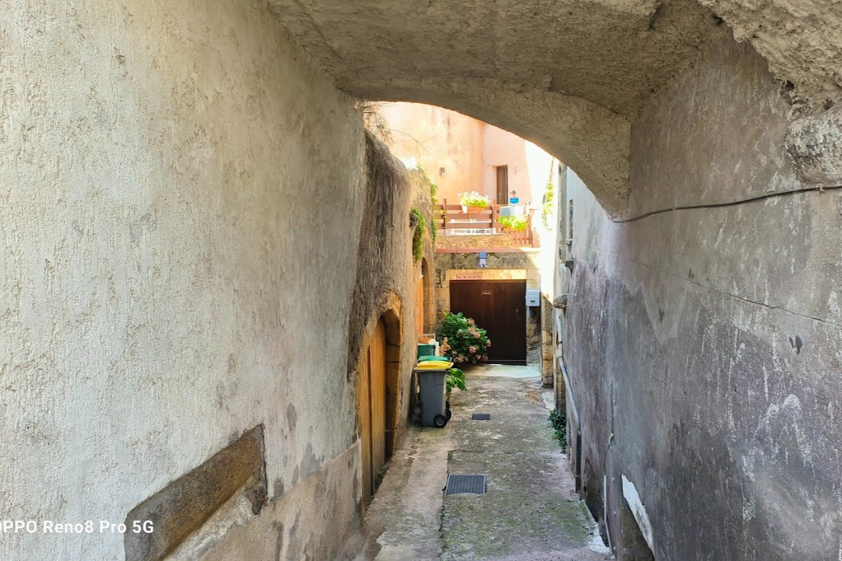 Photo n° 6 de la location