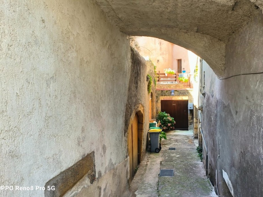 Photo n° 6 de la location