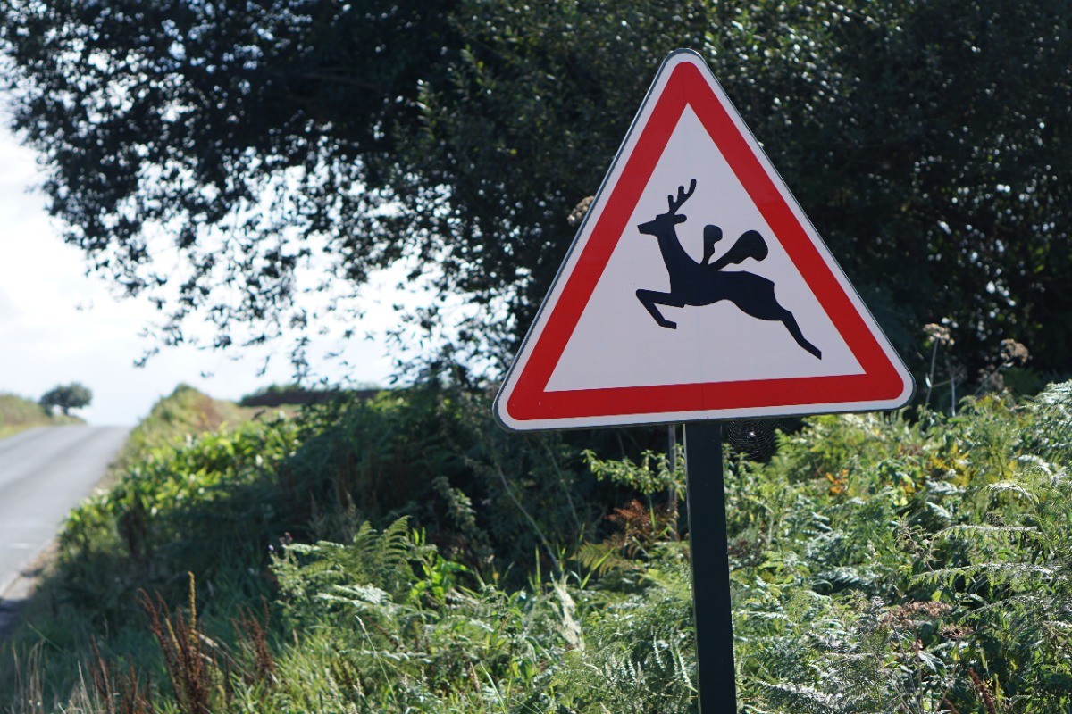 Cerf-volant plougrescantais