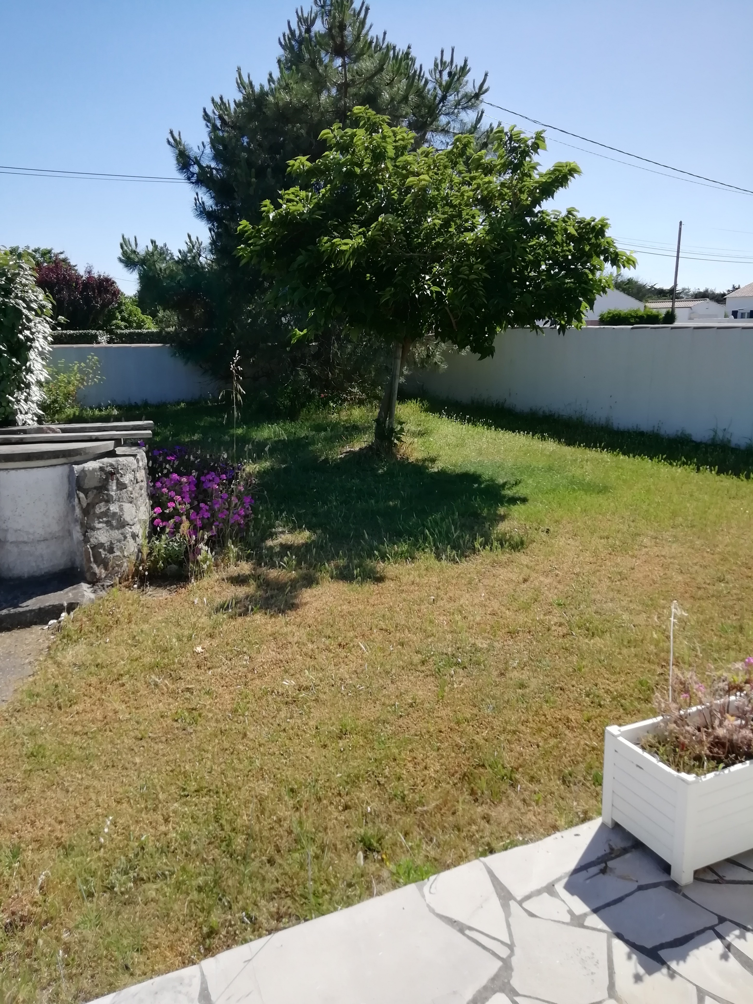Photo n° 10 de la location