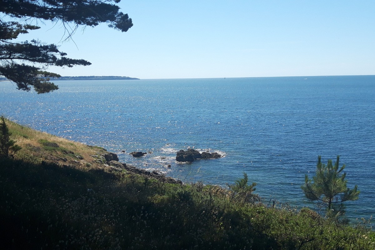 Photo n° 10 de la location
